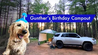 Gunther's 10th Birthday Campout - 4Runner Boondocking in Northern Arizona