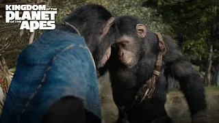 Kingdom of the Planet of the Apes | Mother's Day