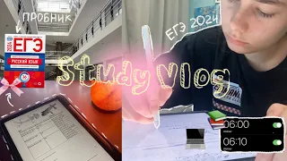 study vlog ｡✿*ﾟ| до егэ 40 дней | результаты пробников 💻📚