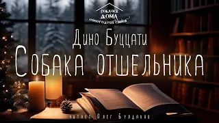 🎄Дино Буццати - Собака отшельника. Аудиокнига. Читает Олег Булдаков