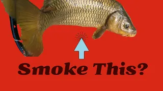 Charcoal Smoked Common Carp...Edible?