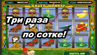 Казино Вулкан - Crazy Monkey ОТДАЮТ в 2022! Выигрыш в автомат Обезьянки. Онлайн казино Вулкан Старс!