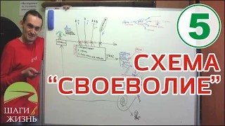 Занятие 5 - Схема "Своеволие" и другое.. ▶️ ЦИКЛ ДЛЯ ЗАВИСИМЫХ И СОЗАВИСИМЫХ