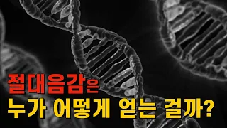 절대음감의 신비