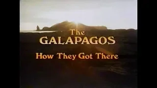 The Galápagos (PT1) (1986)