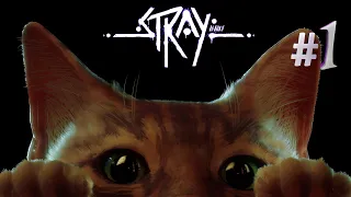 STRAY|БАРСИК ПУТЕШЕСТВЕННИК |ПРОХОЖДЕНИЕ ИГРЫ-STRAY!#1