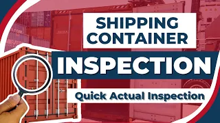 Shipping Container Inspection | Quick Container Actual Inspection | Shipping Container Depot
