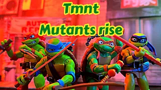 Teenage Mutant Ninja Turtles Mutant Mayhem Stop Motion