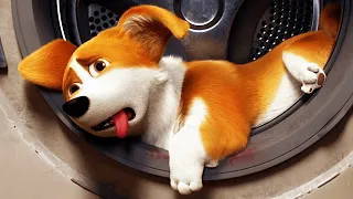 THE QUEEN'S CORGI Clip - "Laundry Room" (2019)