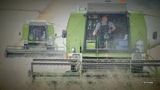 DDR Landmaschinen Fortschritt E 514 Komplex ( Best of Harvest ! )