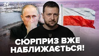 🔥Таємні ДОМОВЛЕНОСТІ Зеленського / Путіну ПІДГОТУВАТИСЯ до ФІАСКО / Рішення Польщі ОСТАТОЧНЕ?