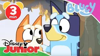 💙 Bluey - Clip: Flitterstaub | Disney Junior