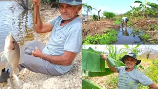 Dia Abençoado Na Roça Pescamos Regamos as Plantas +Mais Mostrando as Plantas Dia Maravilhoso Com Pai