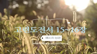 고린도전서 15~16장 (메시지 성경)