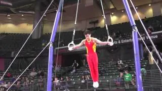 Wang Peng (CHN) - Still Rings - 2016 Pacific Rim Championships Team/AA Final