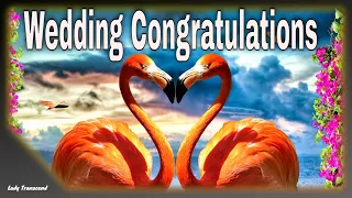 Wedding Congratulations-Message to a Newly Married Couple
