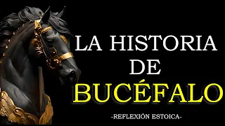 LA HISTORIA DE BUCÉFALO | EL CABALLO DE ALEJANDRO MAGNO