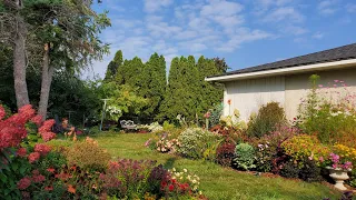 Early September Whole Garden Tour, Zone 4 Minnesota