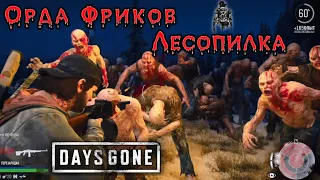 Days Gone - Лесопилка Огромная Орда Фриков "Жизнь После"