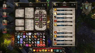 Divinity original sin builds I used in game