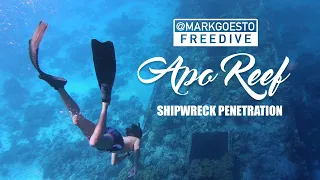 FREEDIVING APO REEF: SHIPWRECK PENETRATION