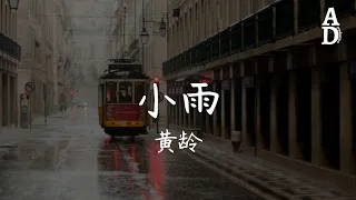 小雨 - 黃齡『滴滴答滴滴的雨下起 如你哭泣 嘲弄我壓抑都動了心』【高音質/動態歌詞/Pinyin Lyrics】