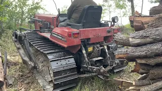 Trattore Cingolato Fiat New Holland 82 85 nel bosco