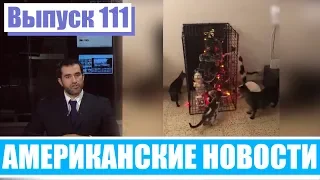 Hack News - Американские новости (Выпуск 111)