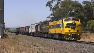 Australian Streamliner EMD CLF1 hauls Grain Trains