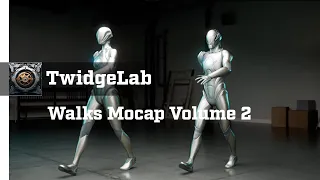 Walks Mocap Vol 2