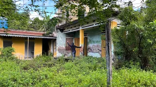 Cleaning up the overgrown grass disaster around the abandoned house - Strangely satisfying