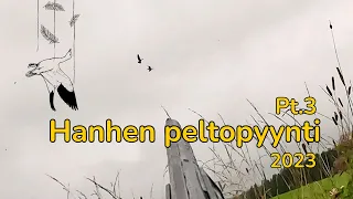 Hanhen peltopyynti 2023 pt3