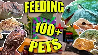 FEEDING ALL MY PETS!!! | 100+ PETS!