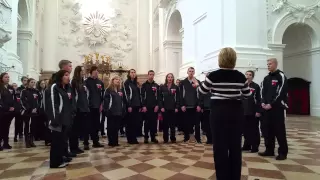 Salzburg Cathedral Performance 2