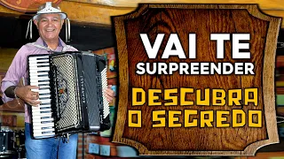 TEM QUE RESPEITAR Mestre Gennaro do Acordeon 19/01/2020