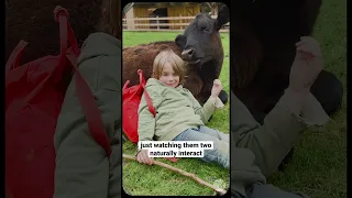 A Child and a Rescue Cow | Friendship Will Melt Your Heart 🥰⁠ #shorts #youtubeshorts #friends