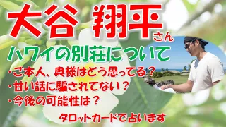 ⚾ドジャース大谷翔平選手✨ハワイ島に別荘購入！🌺また騙されていない？ご本人、奥様は別荘に対してどう思っている？今後の可能性は？タロットカードで占います！🔮