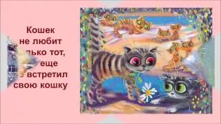 Кошачесть - Образ Жизни