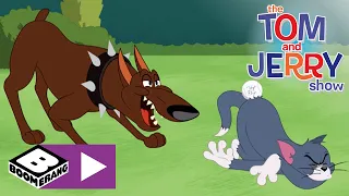 Tom i Jerry | Nie dotykaj mojej piłki do baseballa! | Cartoonito