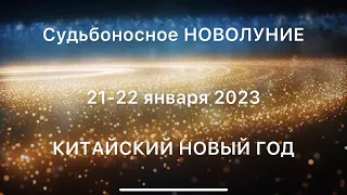 Новолуние и Китайский Новый год. Что СДЕЛАТЬ чтобы стать богатым в 2023