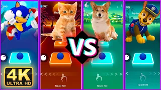 Sonic vs Cat vs Dog vs Paw Patrol || Tiles Hop EDM Rush