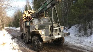 Вывозка леса. Последние дни. Апрель. Урал лесовоз.