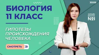 Гипотезы происхождения человека. Видеоурок 19. Биология 11 класс