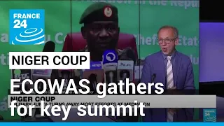 West African bloc gathers for key summit on Niger coup • FRANCE 24 English