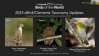 Birds of the World Discovery Webinar: 2023 eBird/Clements Taxonomy Update