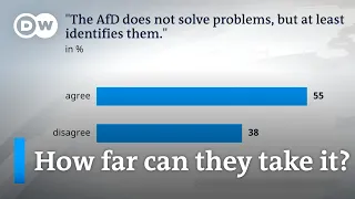 How should the other parties in Germany deal with the far-right AfD? | DW News