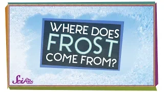 Where Does Frost Come From? | Winter Science | SciShow Kids