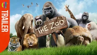 Brand New! The Zoo | CBBC