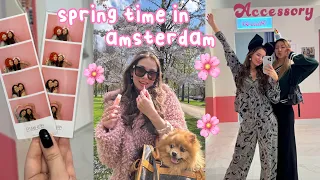 spring time in amsterdam 🌸 cherry blossom park, korean photo booth & treatments