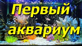 Какой первый аквариум выбрать ?